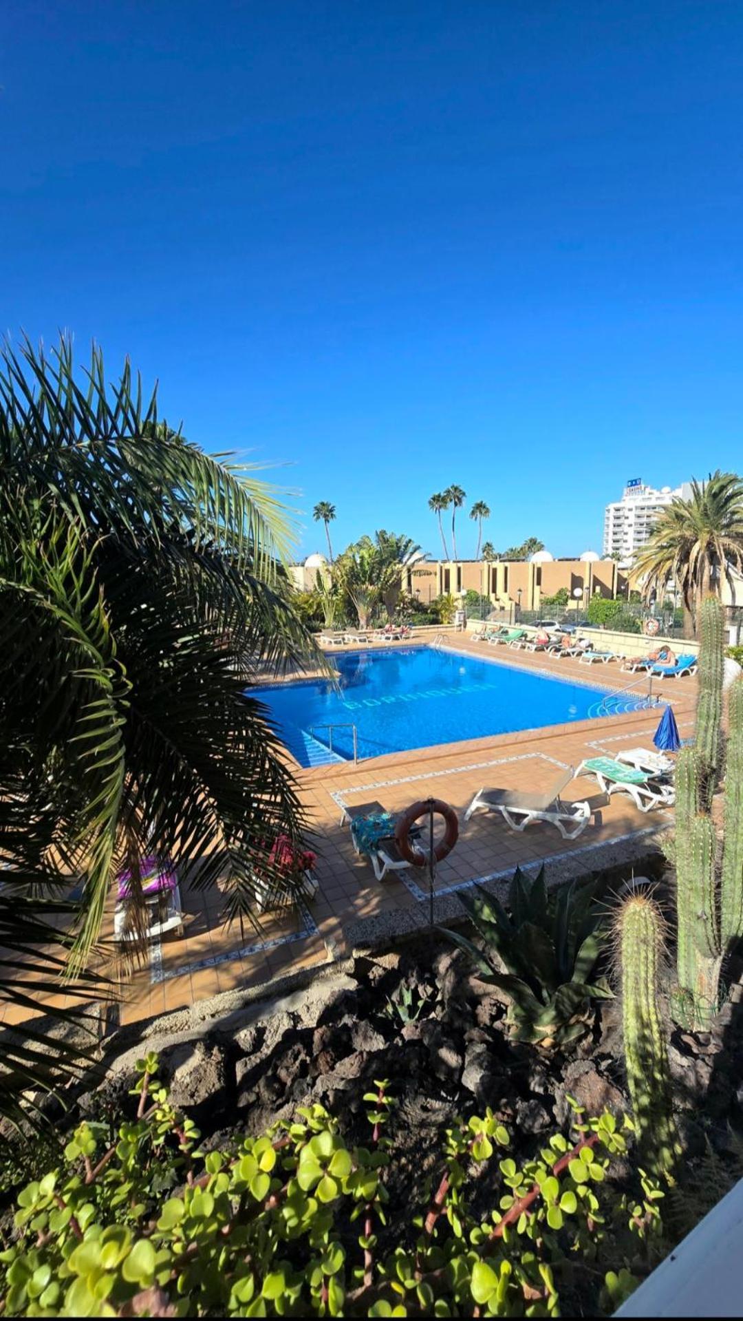 524 Ocean Dreams Las Americas 美洲海滩 外观 照片