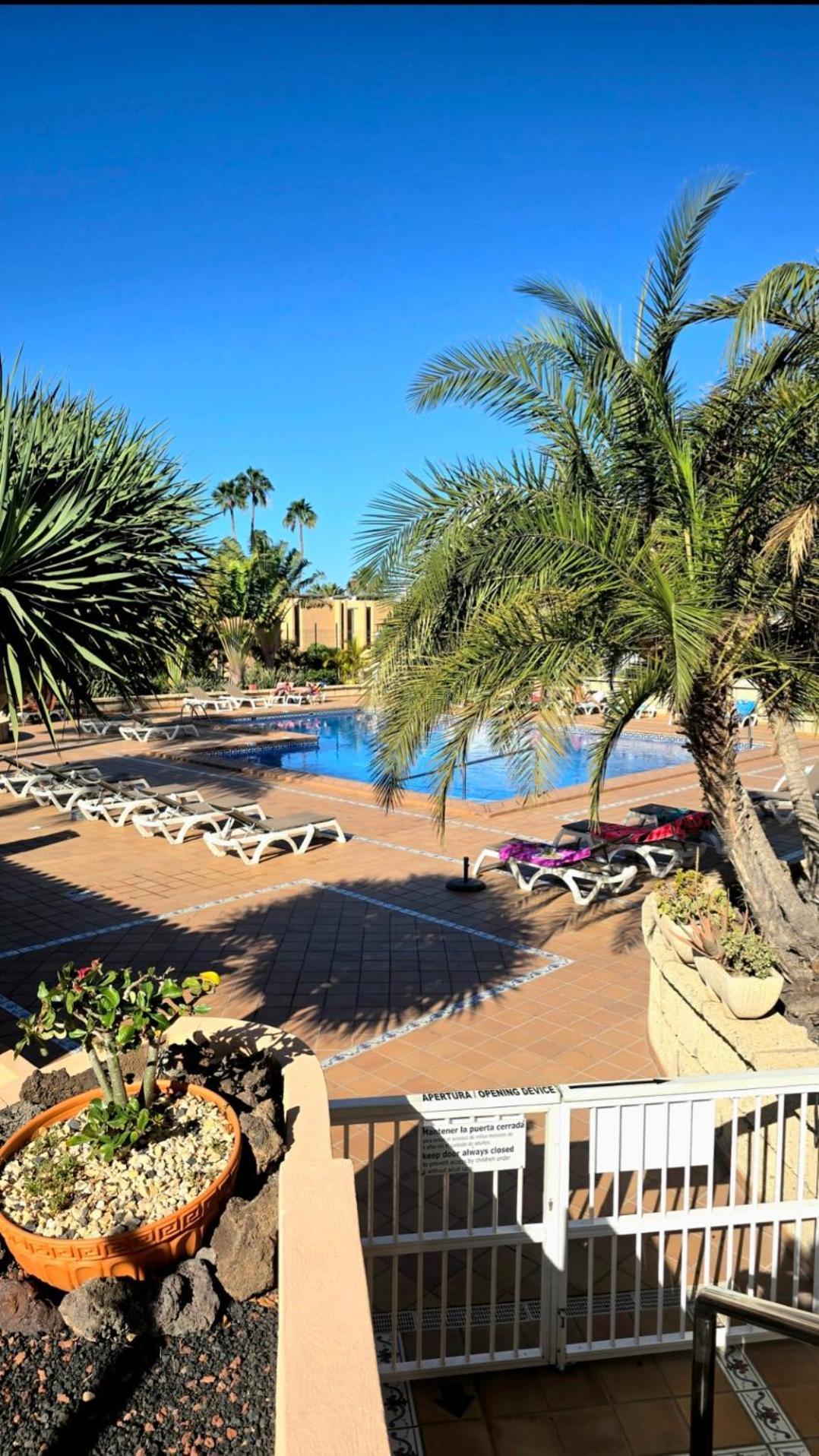 524 Ocean Dreams Las Americas 美洲海滩 外观 照片